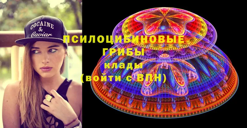 Псилоцибиновые грибы Magic Shrooms  Белая Калитва 